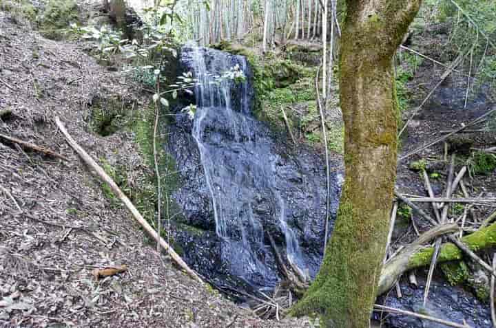 �����̑�E��i����